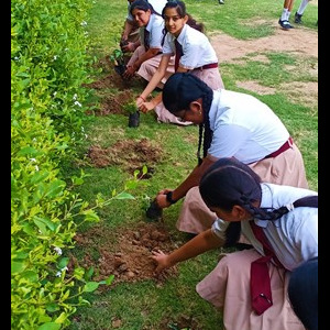 English Medium School in Bharuch