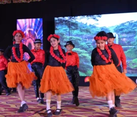 ANNUAL FUNCTION